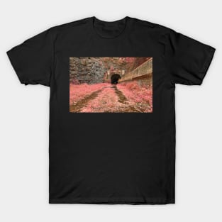 Paw Paw Tunnel - Pink Netherworld T-Shirt